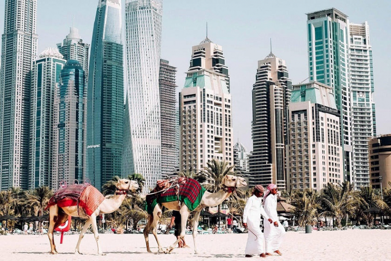 Rating of tour operators in the UAE for 2022